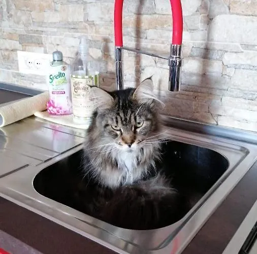 Al Porticciolo Nyaraló