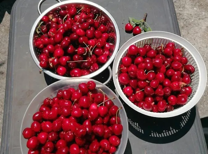 Al Porticciolo Nyaraló