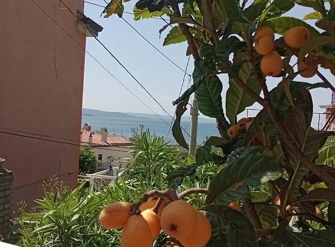 Al Porticciolo * Trieszt