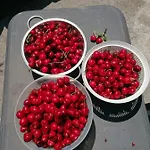 Al Porticciolo 度假居