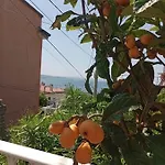 Al Porticciolo * 的里雅斯特