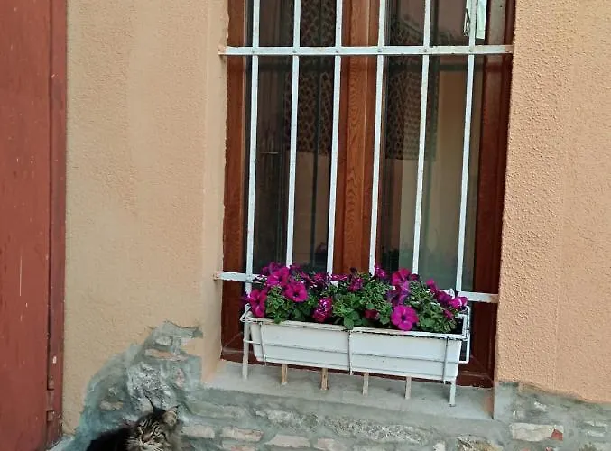 Al Porticciolo Ferienhaus